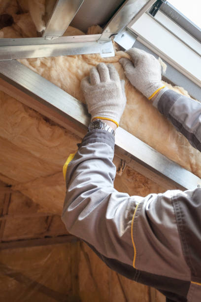 Best Commercial Insulation in Ames Lake, WA