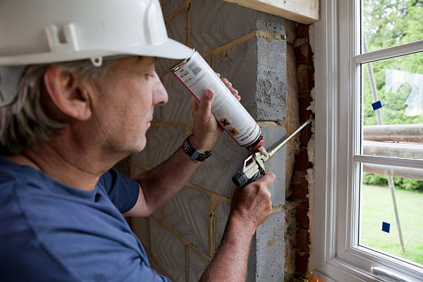 Best Eco-Friendly Insulation in Ames Lake, WA