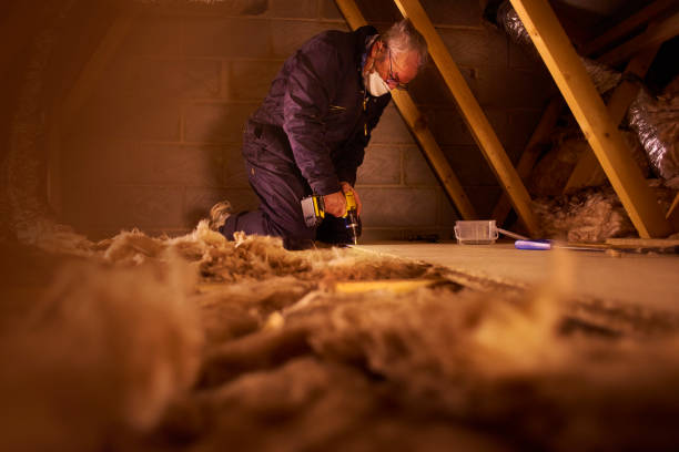 Best Fiberglass Insulation in Ames Lake, WA
